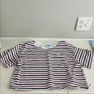 Champion Multicolor Striped Tee